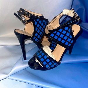 Black and blue beauties